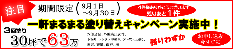 �򕌌��@���t�H�[���E�����E�O�ǁ@�������[�N�X�@�h��ւ����L�����y�[�����{��