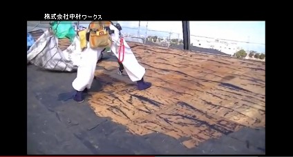 Flash / Video (Direct Link To YouTube)