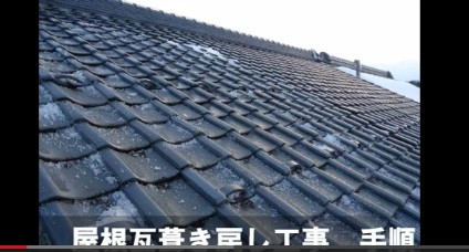 Flash / Video (Direct Link To YouTube)