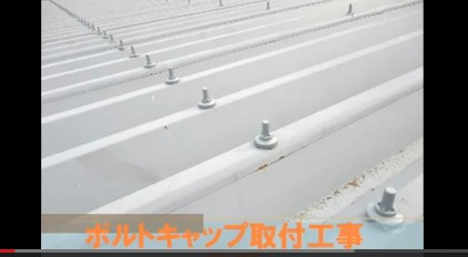 Flash / Video (Direct Link To YouTube)