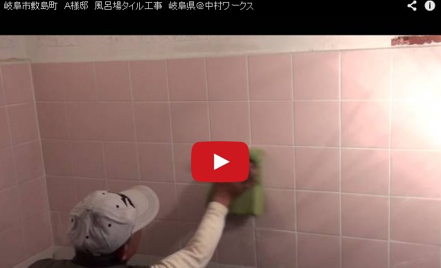 Flash / Video (Direct Link To YouTube)