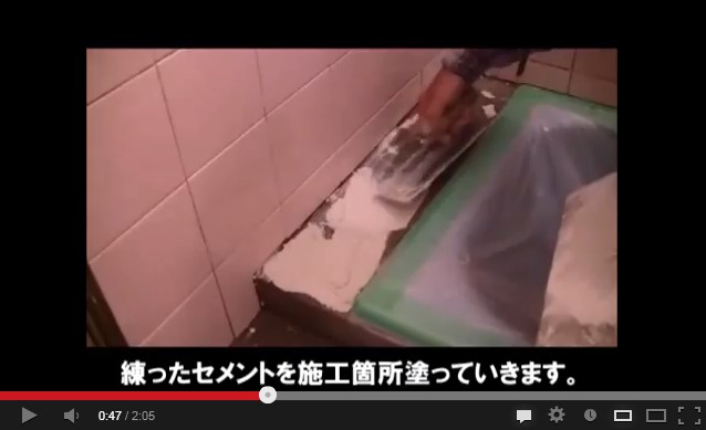 Flash / Video (Direct Link To YouTube)