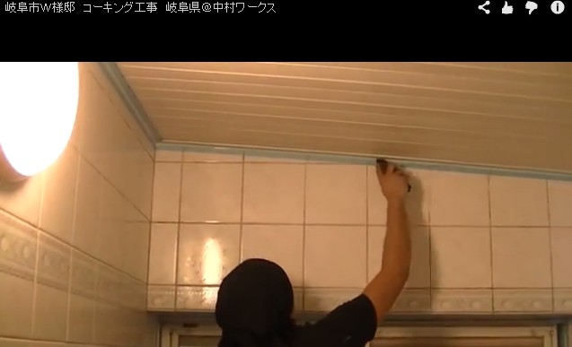 Flash / Video (Direct Link To YouTube)