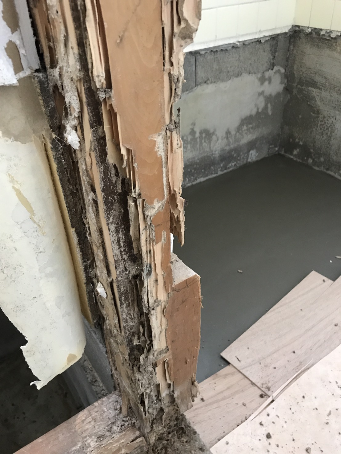 中村ワークス現在進行中施工写真