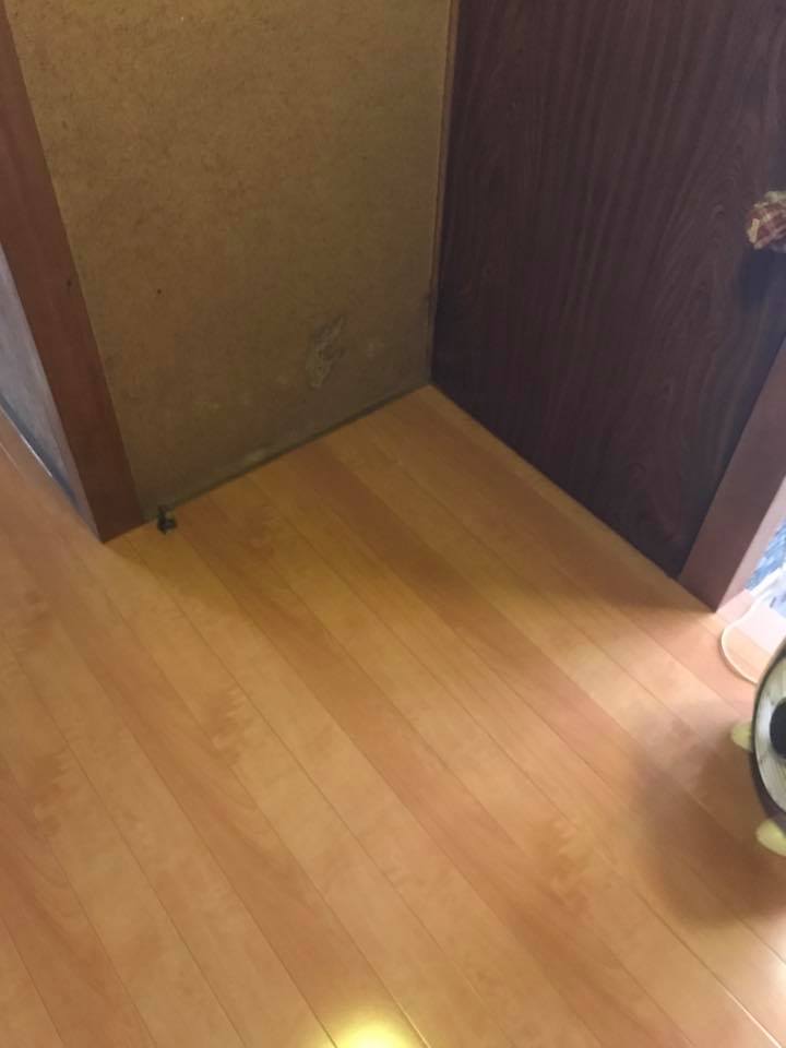 中村ワークス現在進行中施工写真