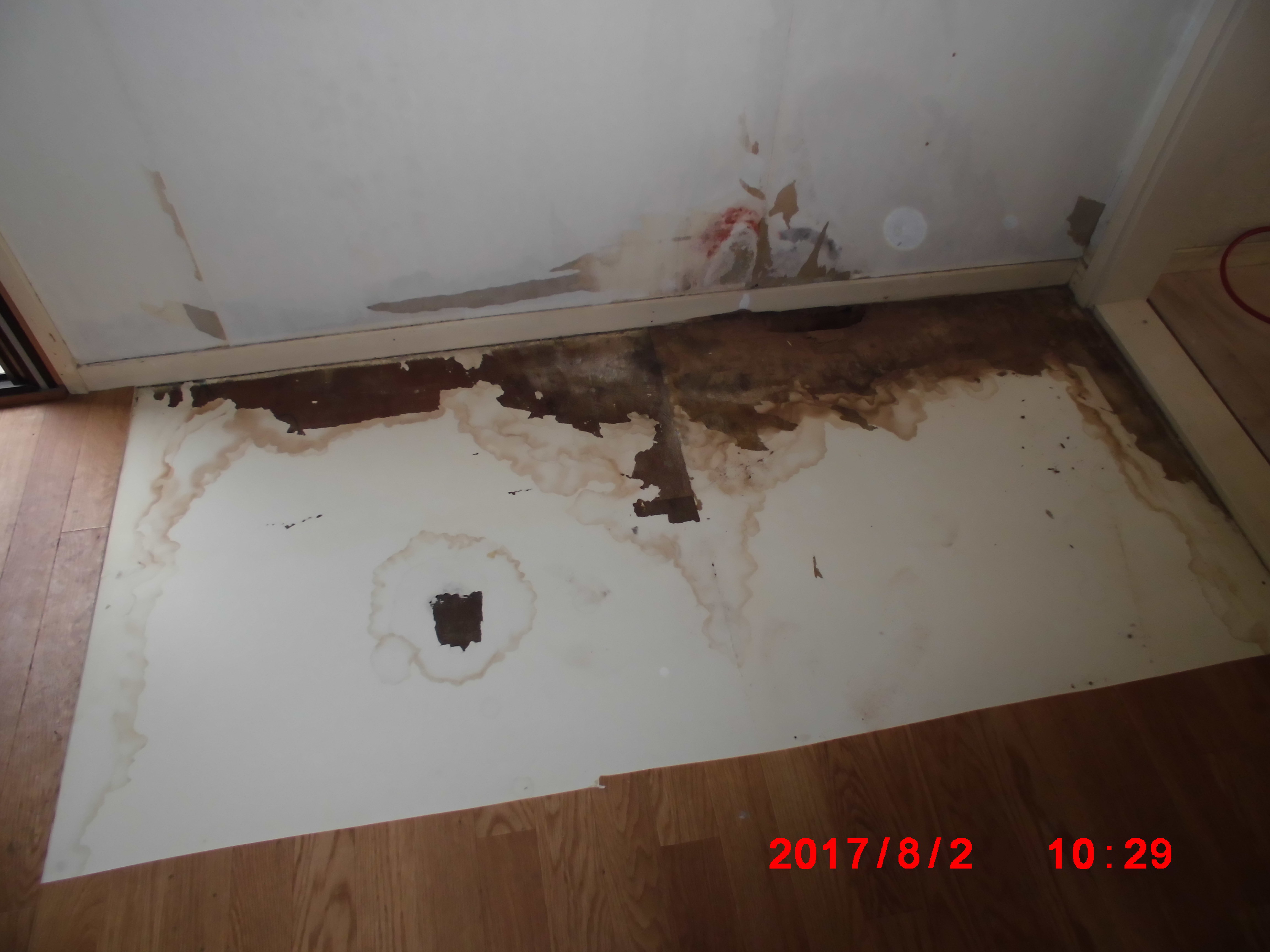 中村ワークス現在進行中施工写真