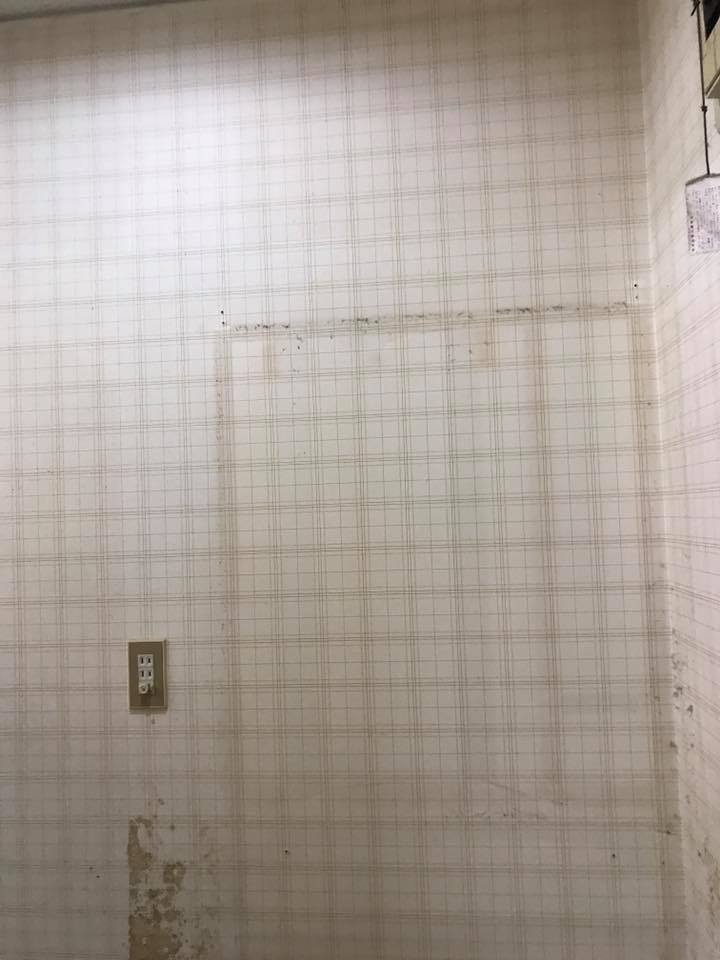 中村ワークス現在進行中施工写真