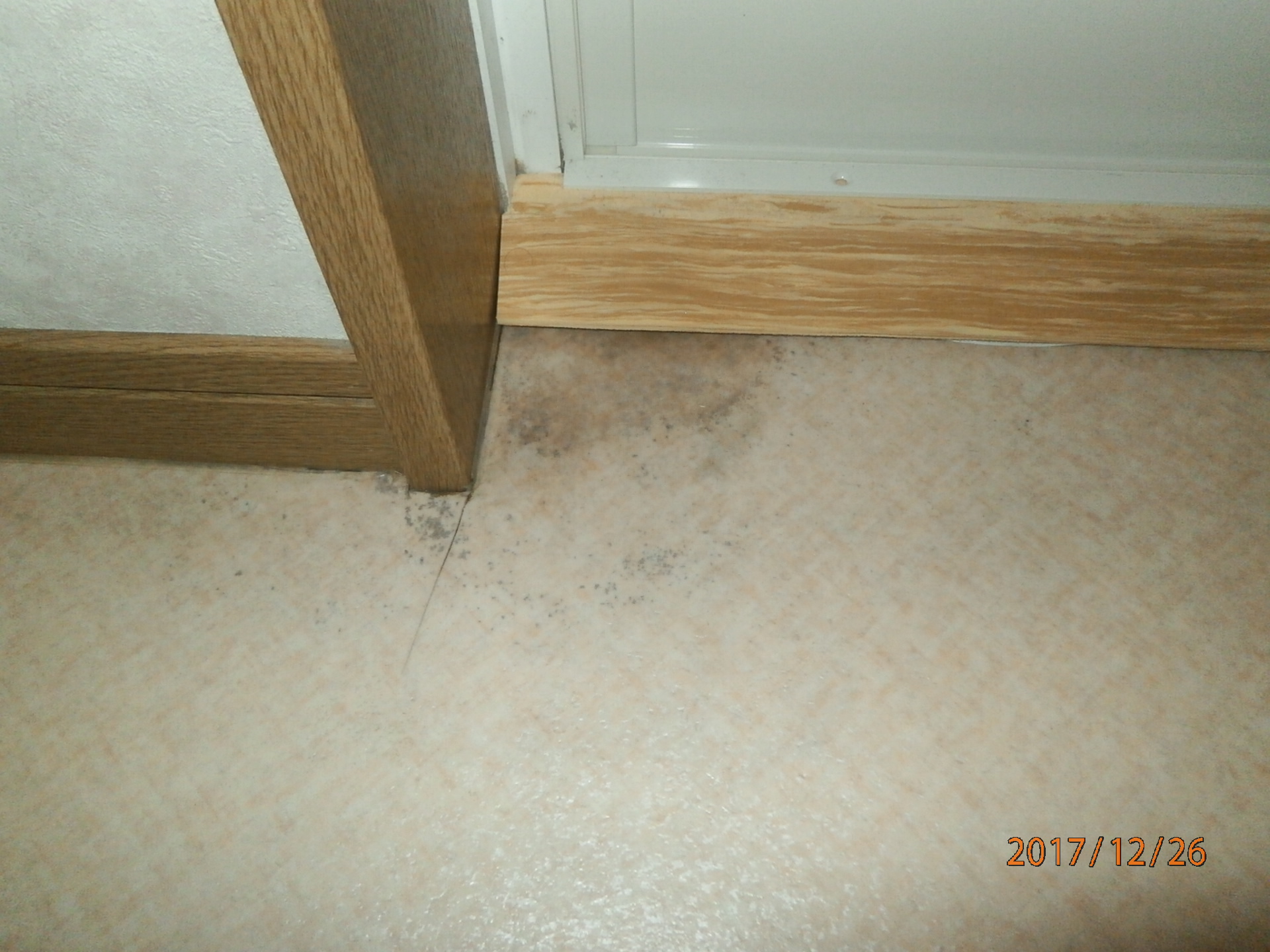 中村ワークス現在進行中施工写真