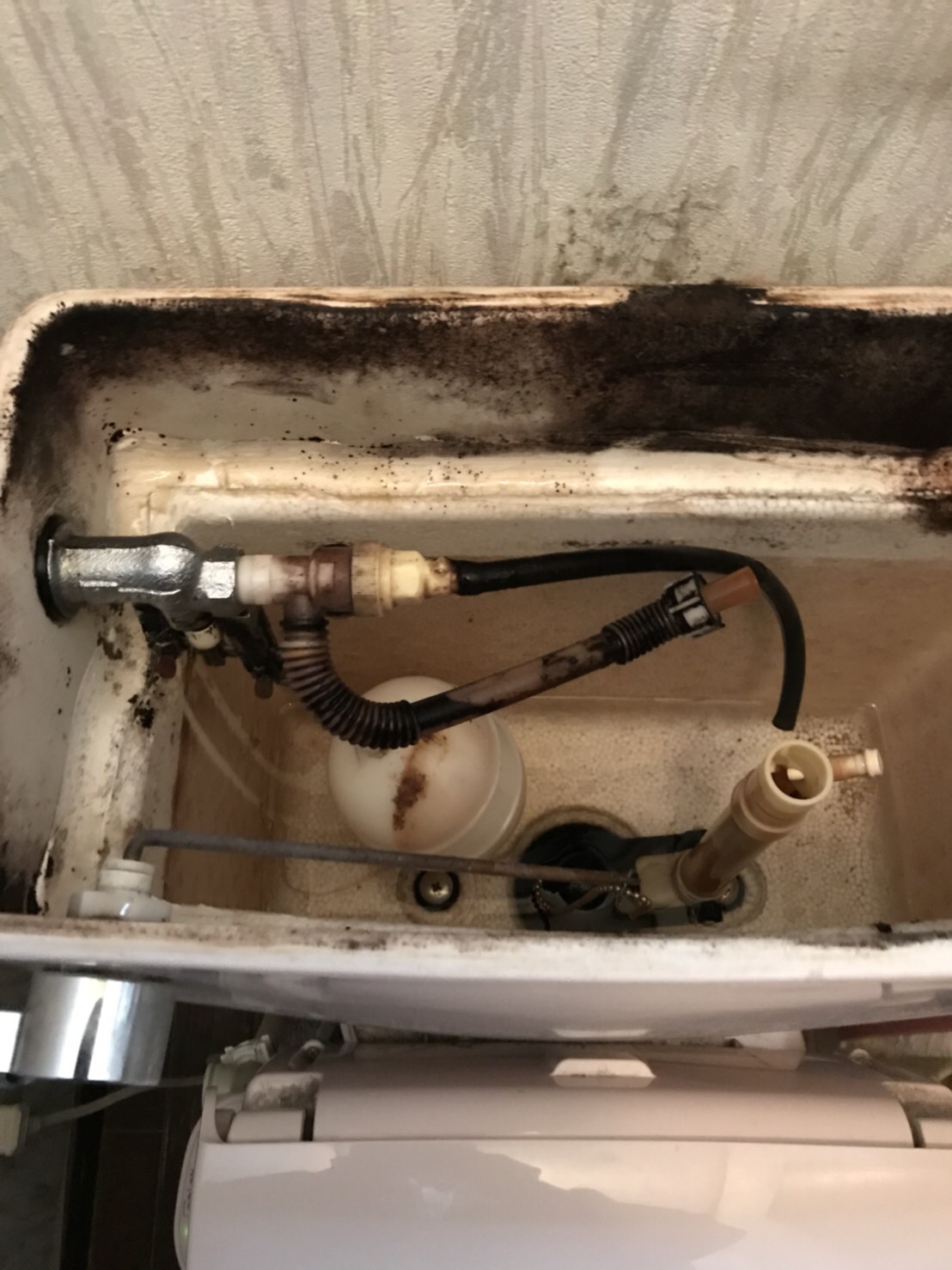 中村ワークス現在進行中施工写真