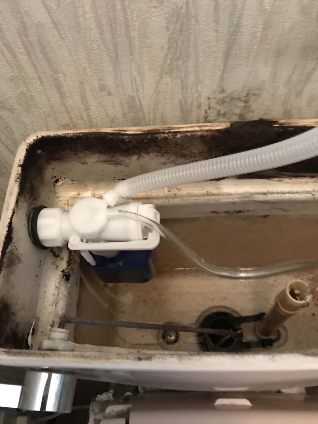 中村ワークス現在進行中施工写真