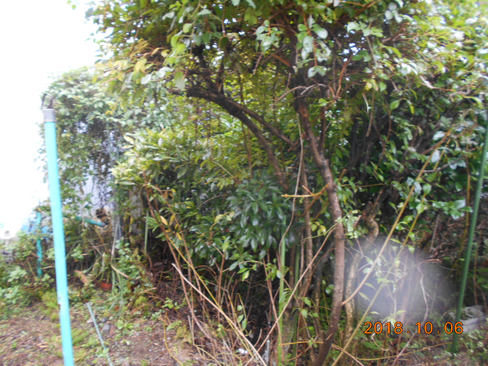 施工事例：工事後メイン写真